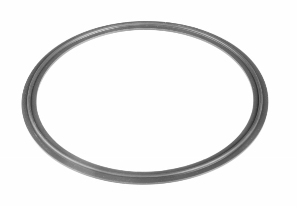 Viton Gasket